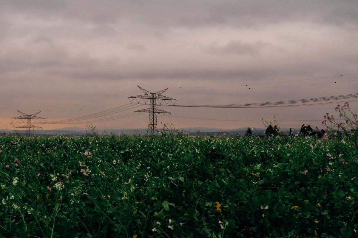 Descubre FIELDS: Nueva plataforma de aprendizaje agrícola