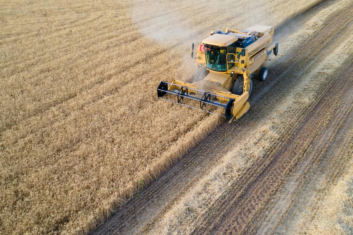 Sello de calidad de Alimentos de España: producción local y ecológica.