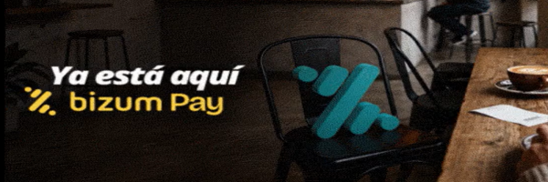 bizum pay
