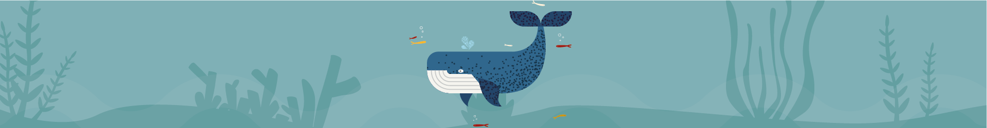 Cuida y protege el entorno que te rodea